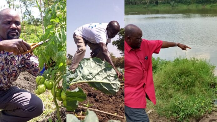Farmers benefiting from water pans in Siaya
